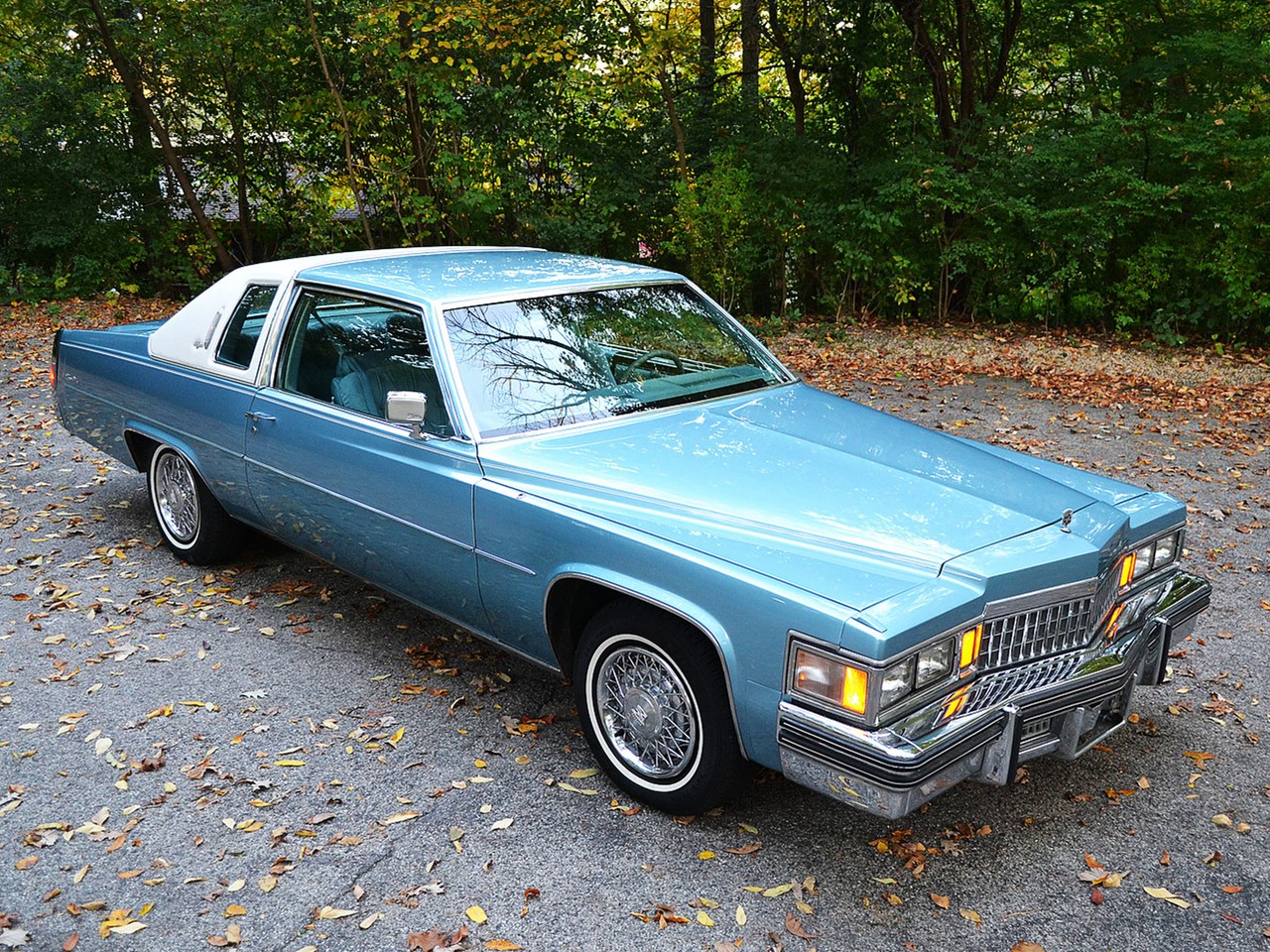 1978 DeVille Coupe d'Elegance 20