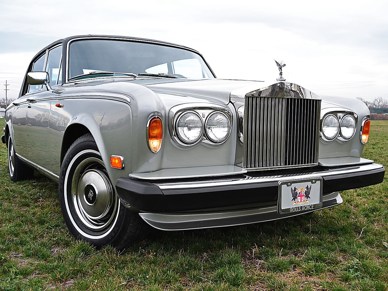 Splendor in the grass 1